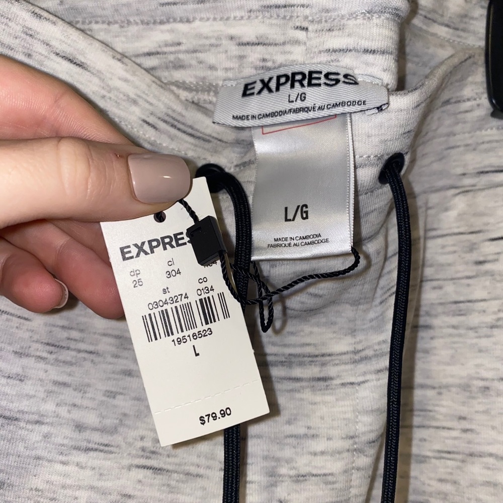 Express sweat pants